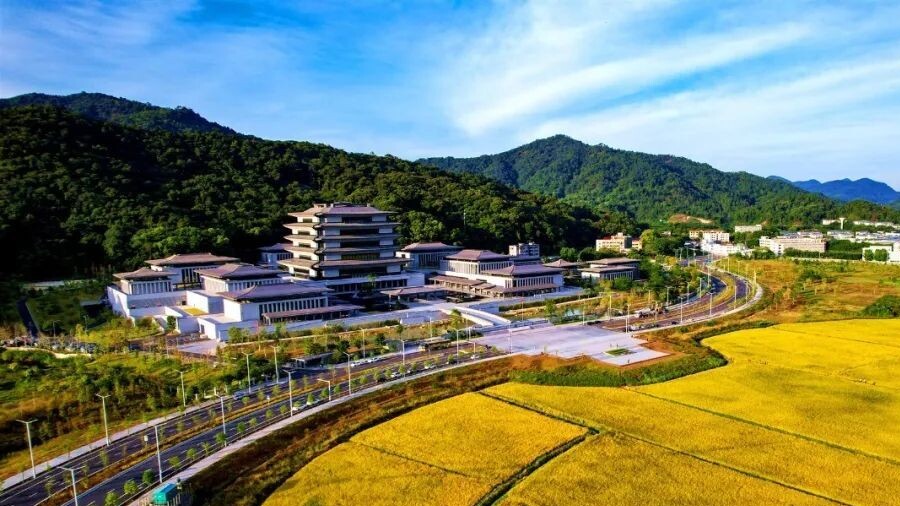 Rice paddies turn golden in front of Guangzhou's National Archives