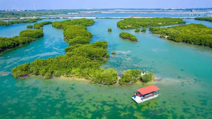 湛江促进全域旅游开发 将红树林要素融入大文旅产业链