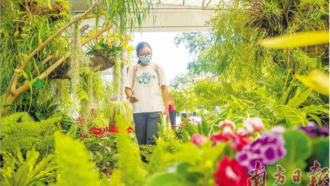 广州华南国家植物园13种珍稀濒危植物首次对外展示