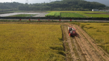广东这些成果上榜2023年农业主导品种和主推技术