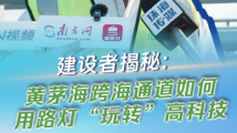 建设者揭秘:黄茅海跨海通道如何用路灯“玩转”高科技 建设者揭秘:黄茅海跨海通道如何用路灯“玩转”高科技