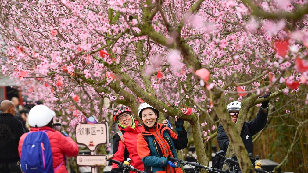 People enjoy spring blossoms across China