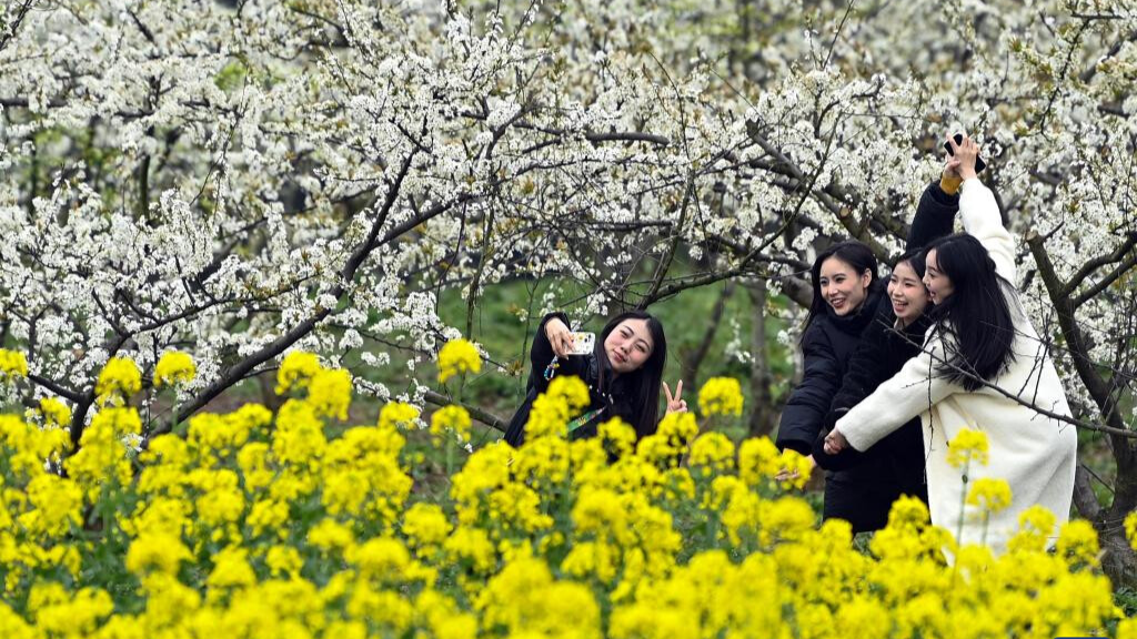 People enjoy spring blossoms across China