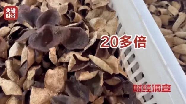 广西全面调查20倍暴利假陈皮