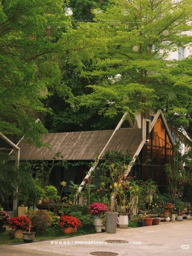 图源于小红书用户@橙鲜新