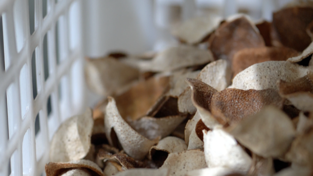 乱象曝光之后，如何理性认识新会陈皮？