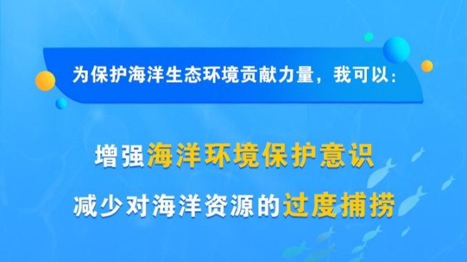 保护海洋生态，中国海事审判网发出倡议！