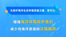 保护海洋生态,中国海事审判网发出倡议! 保护海洋生态,中国海事审判网发出倡议!