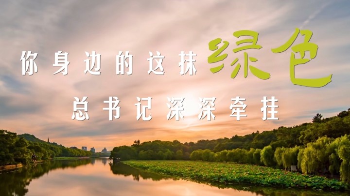 微视频｜你身边的这抹绿色 总书记深深牵挂