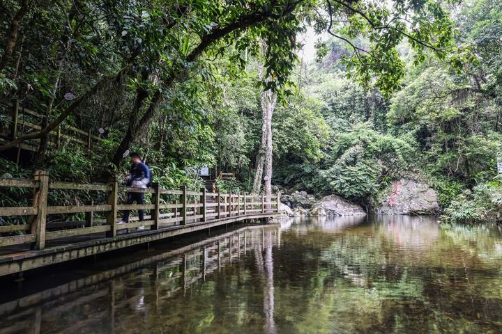 游客在海南热带雨林国家公园五指山片区的仙女潭游览（2022年5月17日摄）。新华社记者 张丽芸 摄