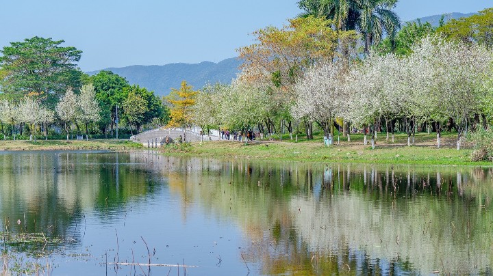 筑牢法治屏障，护航生态之绿
