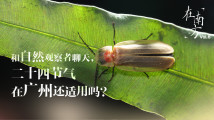 对话自然观察者谢辅宇：二十四节气在广州还适用吗?