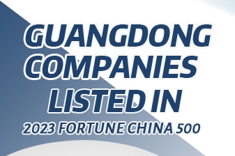 Data Explorer | 67 Guangdong companies listed in 2023 Fortune China 500