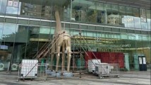 一个餐馆老板的“卡车挡风记”:那些台风来袭之下的硬核应对 一个餐馆老板的“卡车挡风记”:那些台风来袭之下的硬核应对