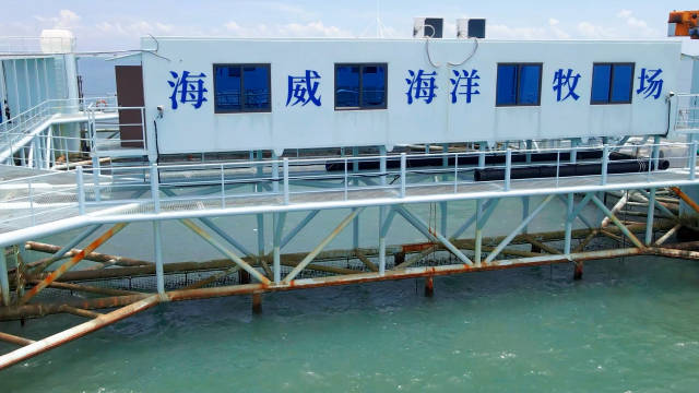 湛江深远海智能养殖平台“海威2号”。