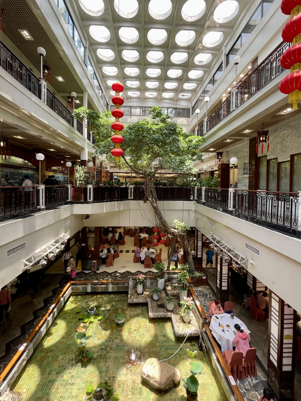 （广州酒家文昌店中庭的百年细叶榕，茁壮茂盛，绿意盎然，成为酒家的标志性符号。）