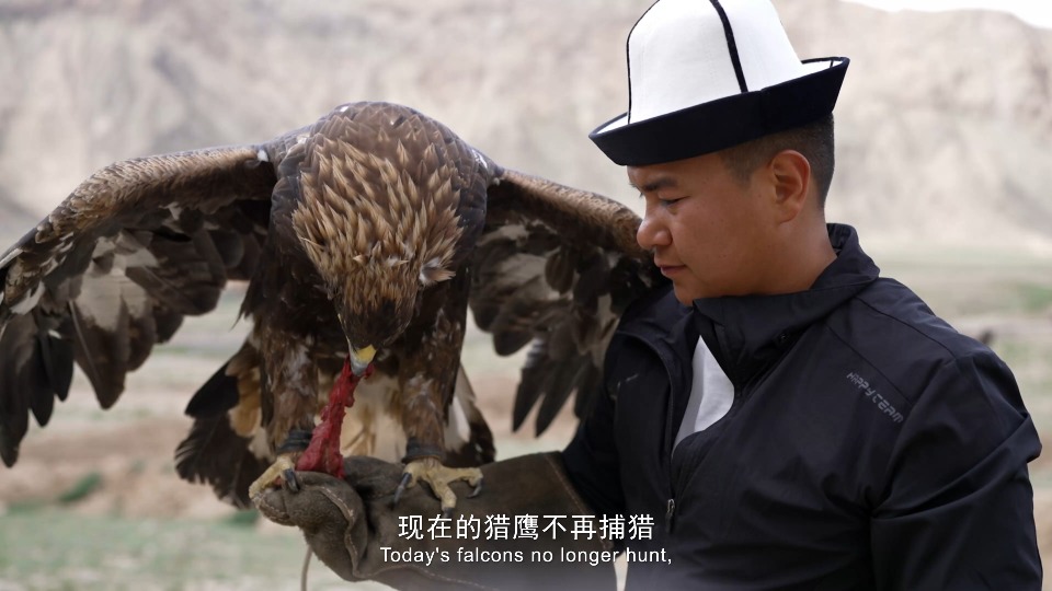 Faces of Xinjiang | Eagle trainer Temurbek