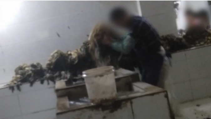“土坑酸菜”一涉事企业被罚超百万元!食品生产许可证已吊销 “土坑酸菜”一涉事企业被罚超百万元!食品生产许可证已吊销