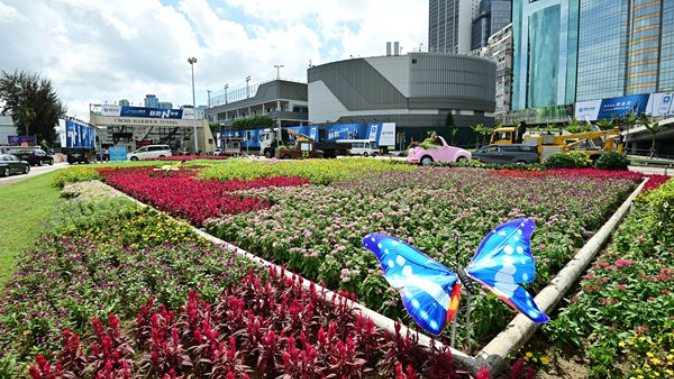 香港推出“花悦满城”计划 庆祝回归祖国25周年