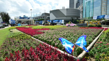 香港推出“花悦满城”计划 庆祝回归祖国25周年 香港推出“花悦满城”计划 庆祝回归祖国25周年