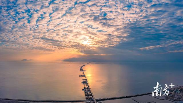 黄茅海跨海通道“小蛮腰”桥塔如何造? 黄茅海跨海通道“小蛮腰”桥塔如何造?