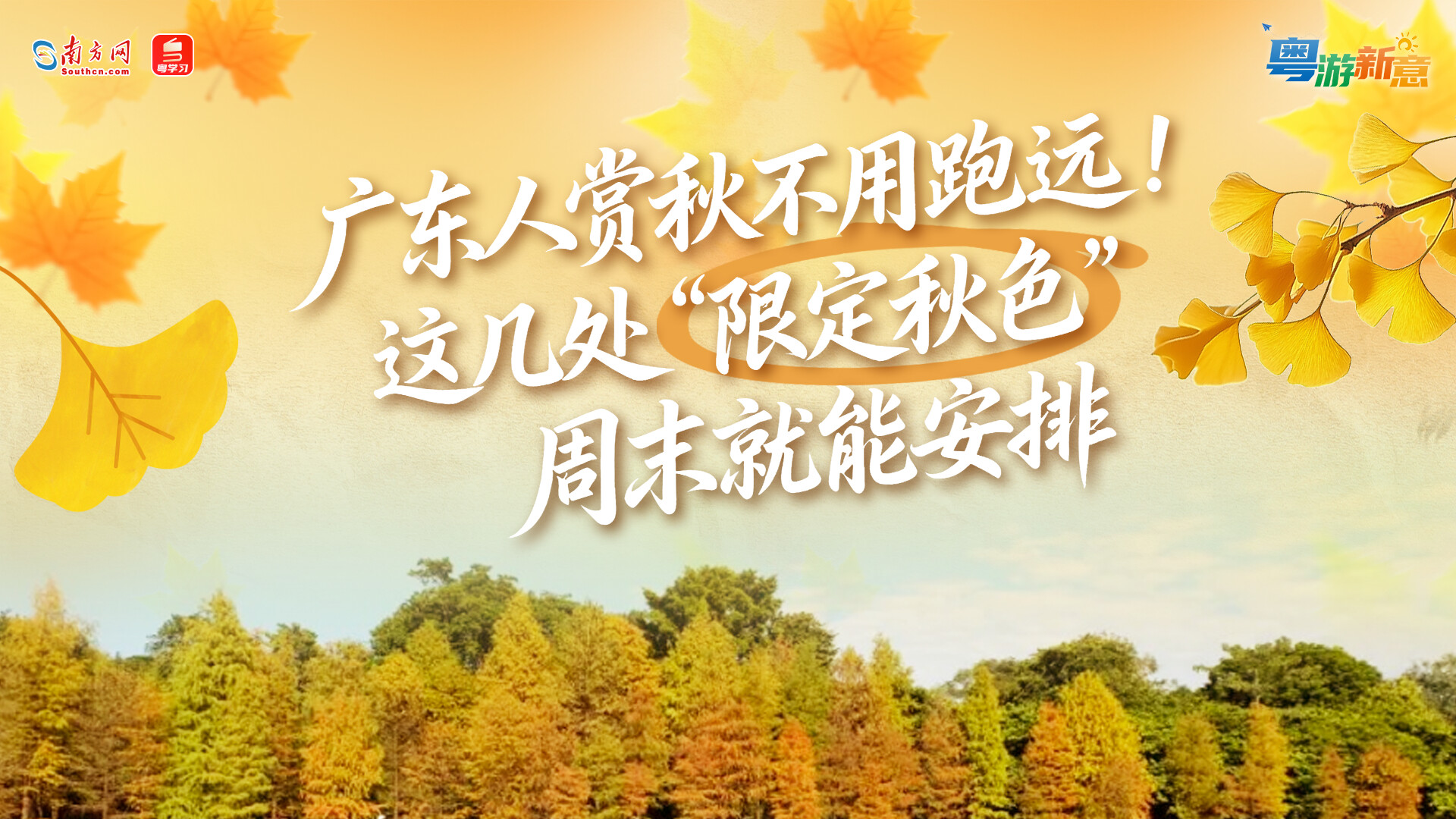 广东人赏秋不用跑远！这几处“限定秋色”周末就能安排丨粤游新意