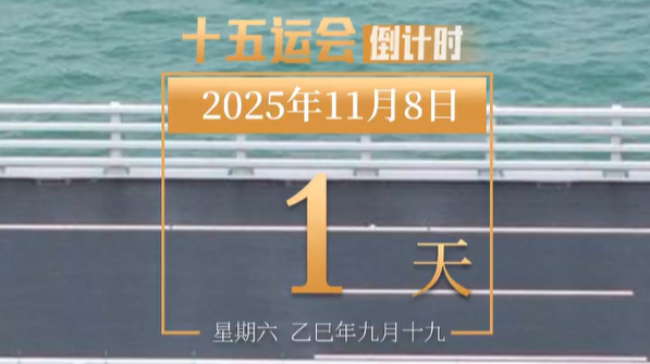 全运日历｜2025年11月8日