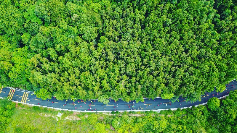 绿色家底不断增厚！速览绿美广东生态建设亮眼成绩单