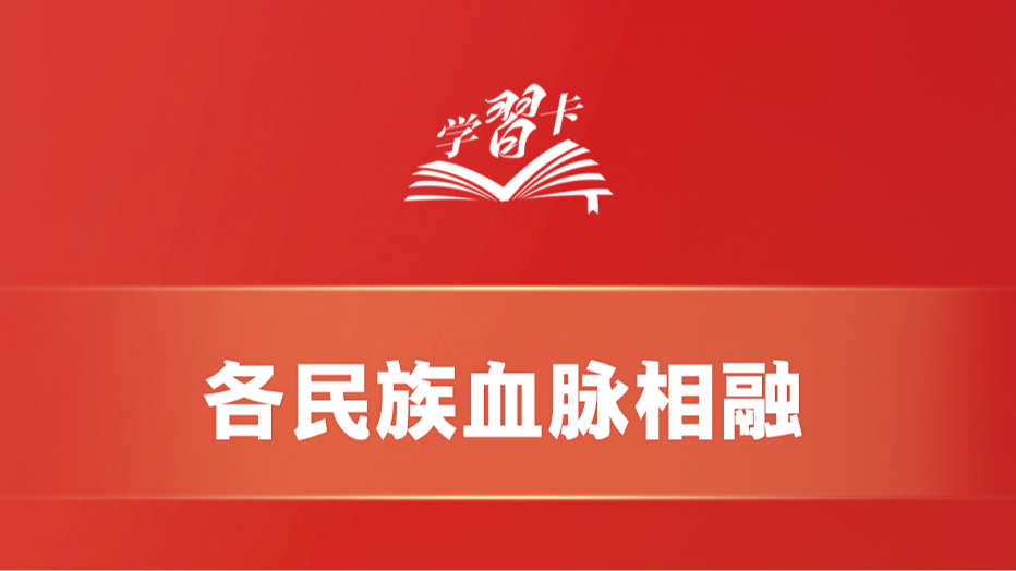学习卡丨这是中华儿女最深沉、最持久的情感所系