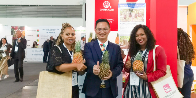 Guangdong's Xuwen pineapples debuted at Macfrut in Italy