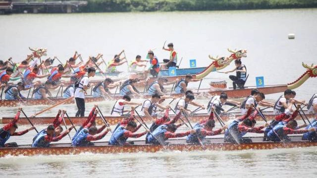 A glimpse into dragon boat races in Zhaoqing