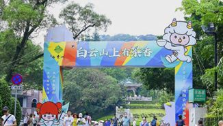 一场茶会笑迎10万客，广州以茶会友激发老城新活力