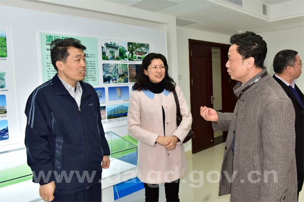 点击查看放大图片