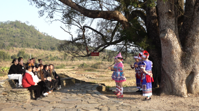 图源:乳源发布 图源:乳源发布