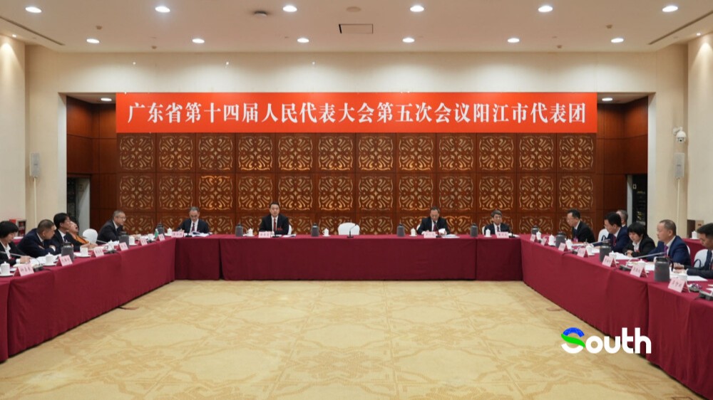 Guangdong's Yangjiang targets green energy, marine economy during 15th Five-Year Plan period