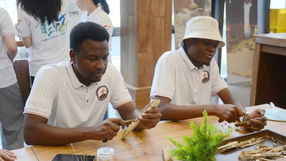 International students immerse in agarwood culture of Maoming's Dianbai