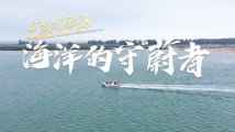 广东向“新”力|海洋的守“蔚”者 广东向“新”力|海洋的守“蔚”者