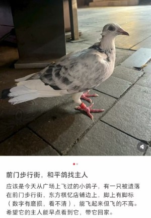 截图自小红书网友