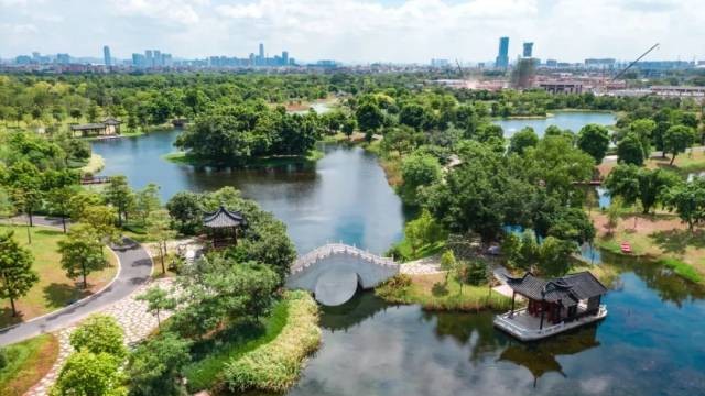Guangzhou's protected wetland opens for guided group tours