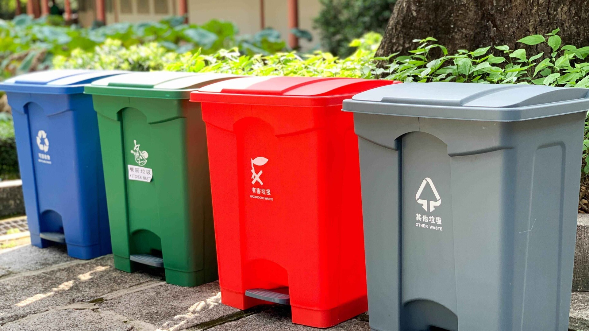 Starting from September, new local regulations take effect in cities across Guangdong
