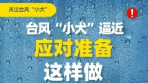 南方公益丨台风“小犬”逼近,应对准备这样做→ 南方公益丨台风“小犬”逼近,应对准备这样做→