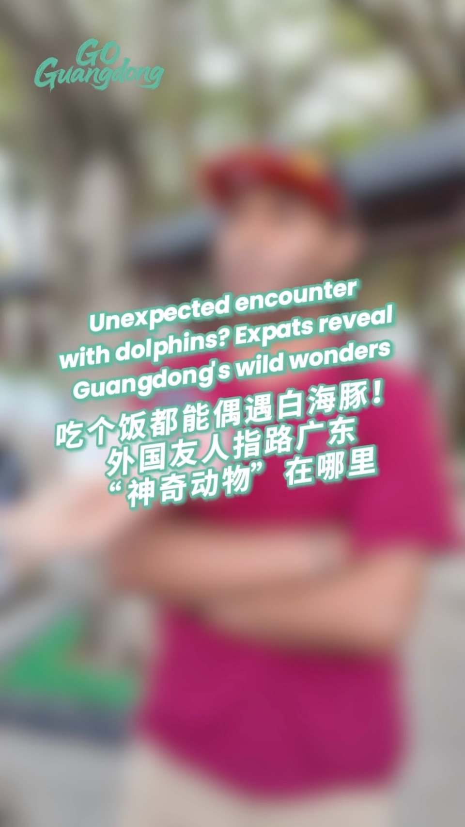 Unexpected encounter with dolphins? Expats reveal Guangdong's wild wonders