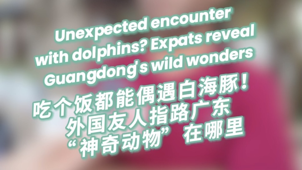 Unexpected encounter with dolphins? Expats reveal Guangdong's wild wonders