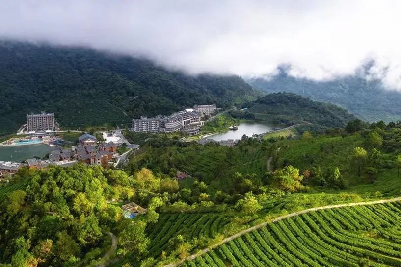 基层“良”策丨新兴县太平镇持续擦亮乡村振兴底色