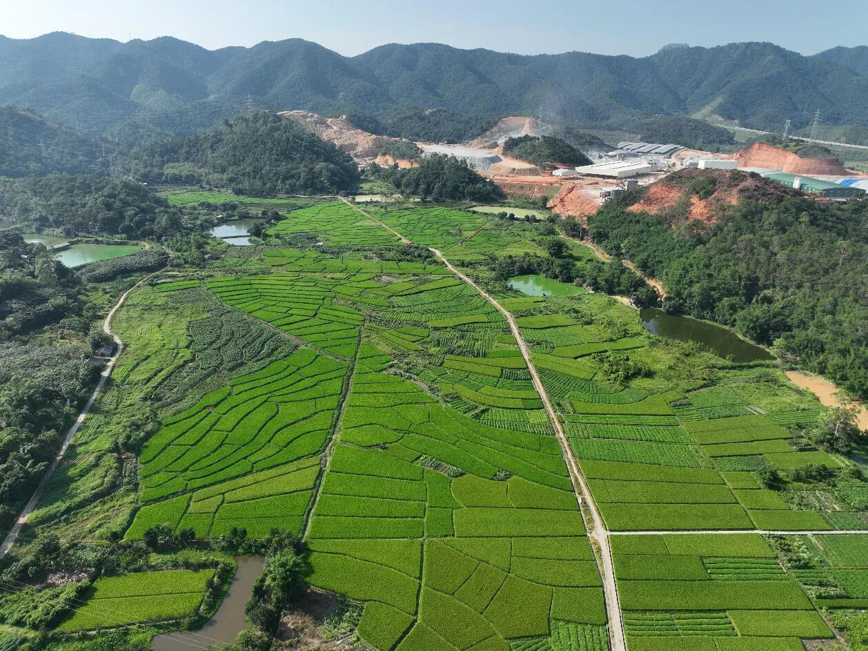 基层“良”策丨云城区思劳镇：撂荒地变“希望田”
