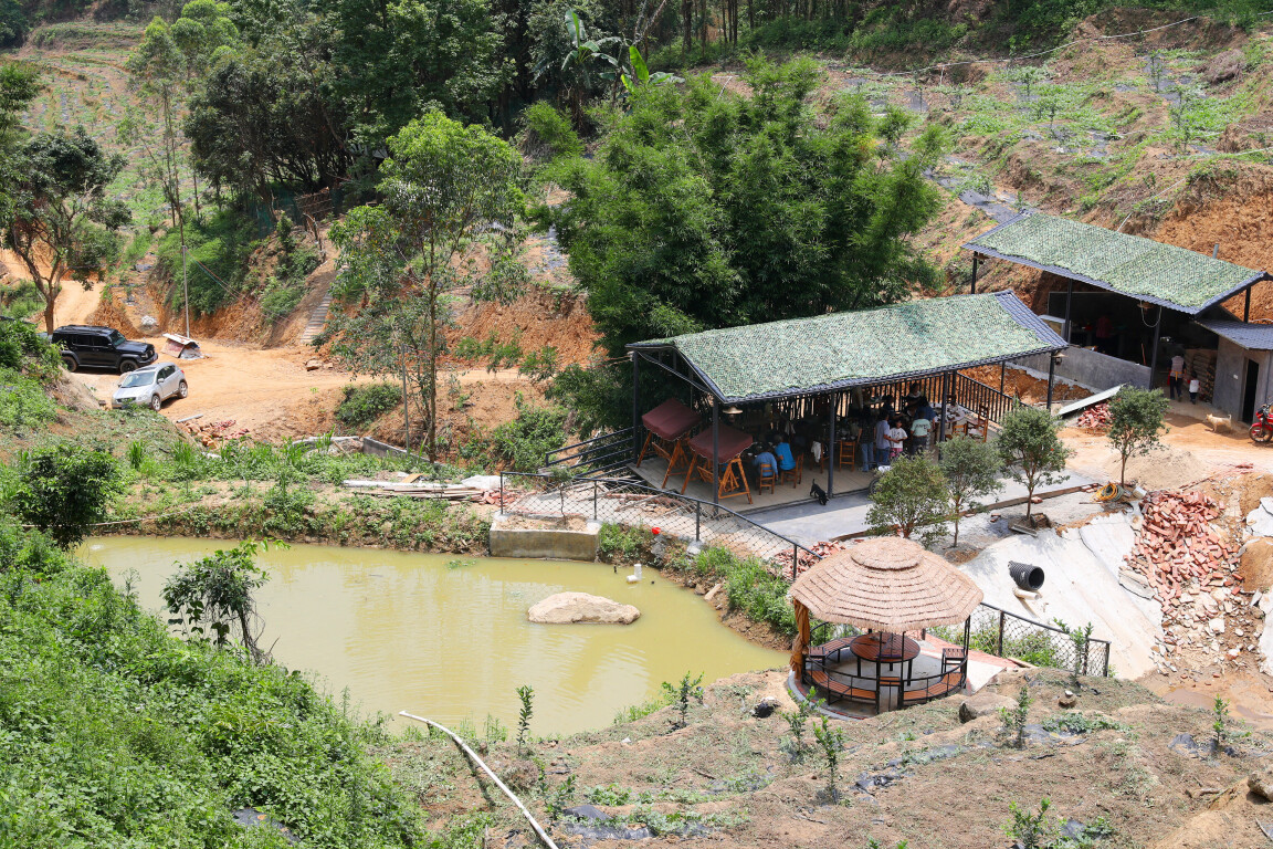 基层“良”策丨大金山深处建起特色农场