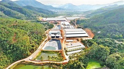 基层“良”策丨年产值1.1亿元！新兴县高效生态奶牛养殖项目扎实推进