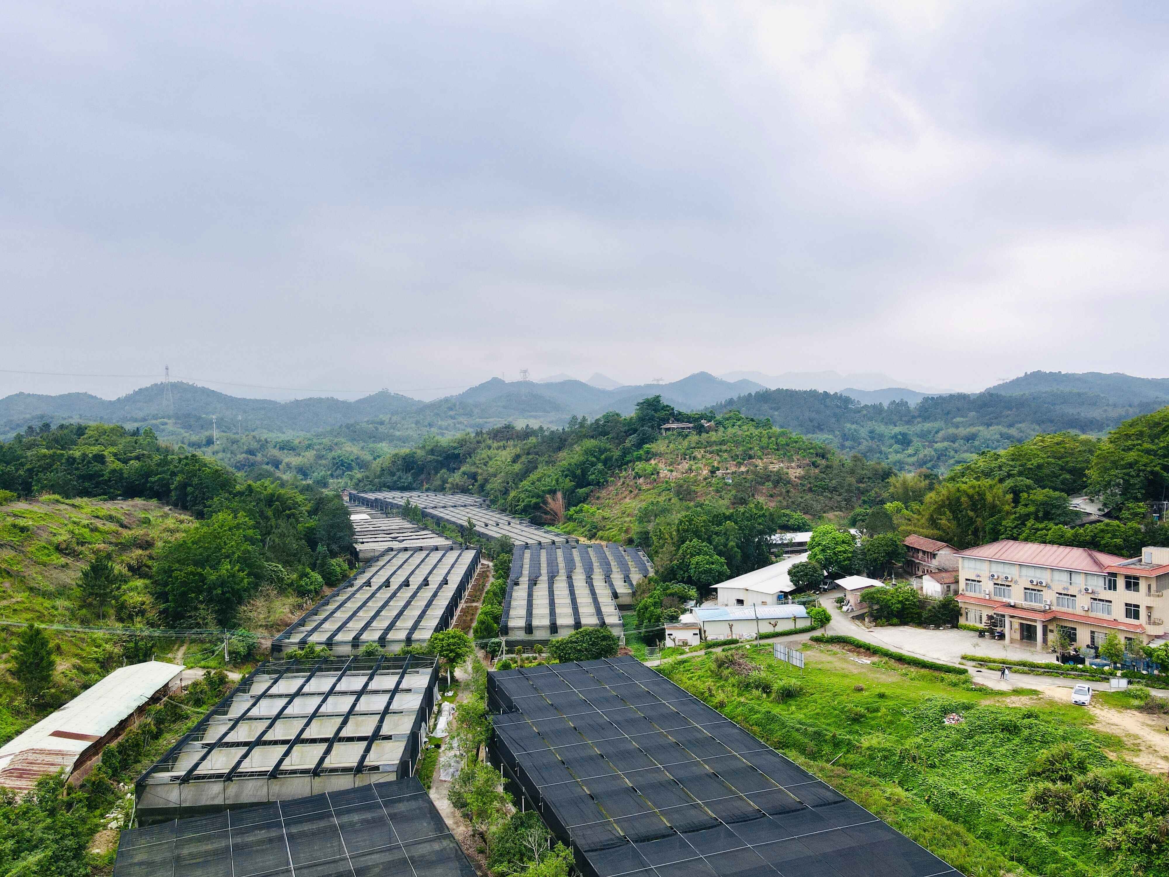 基层“良”策丨云城区安塘街都栗村“四条致富路”擘画乡村振兴新蓝图