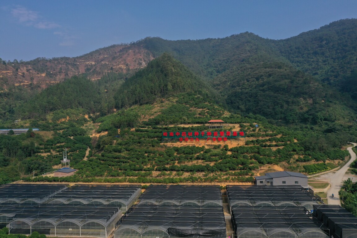 基层“良”策丨云城区：做精现代农业 打响强农品牌