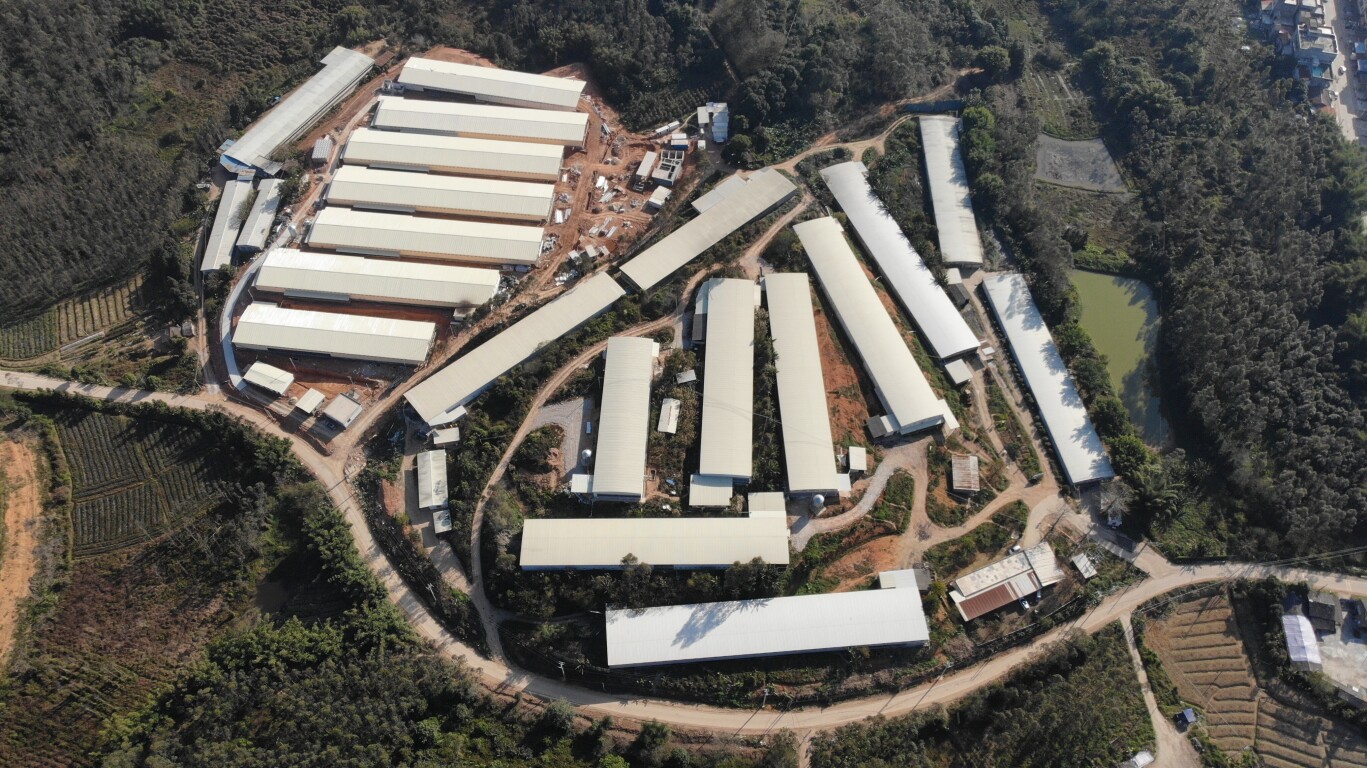 基层“良”策丨新兴水台镇：积极建设“宜居宜业和美乡村”